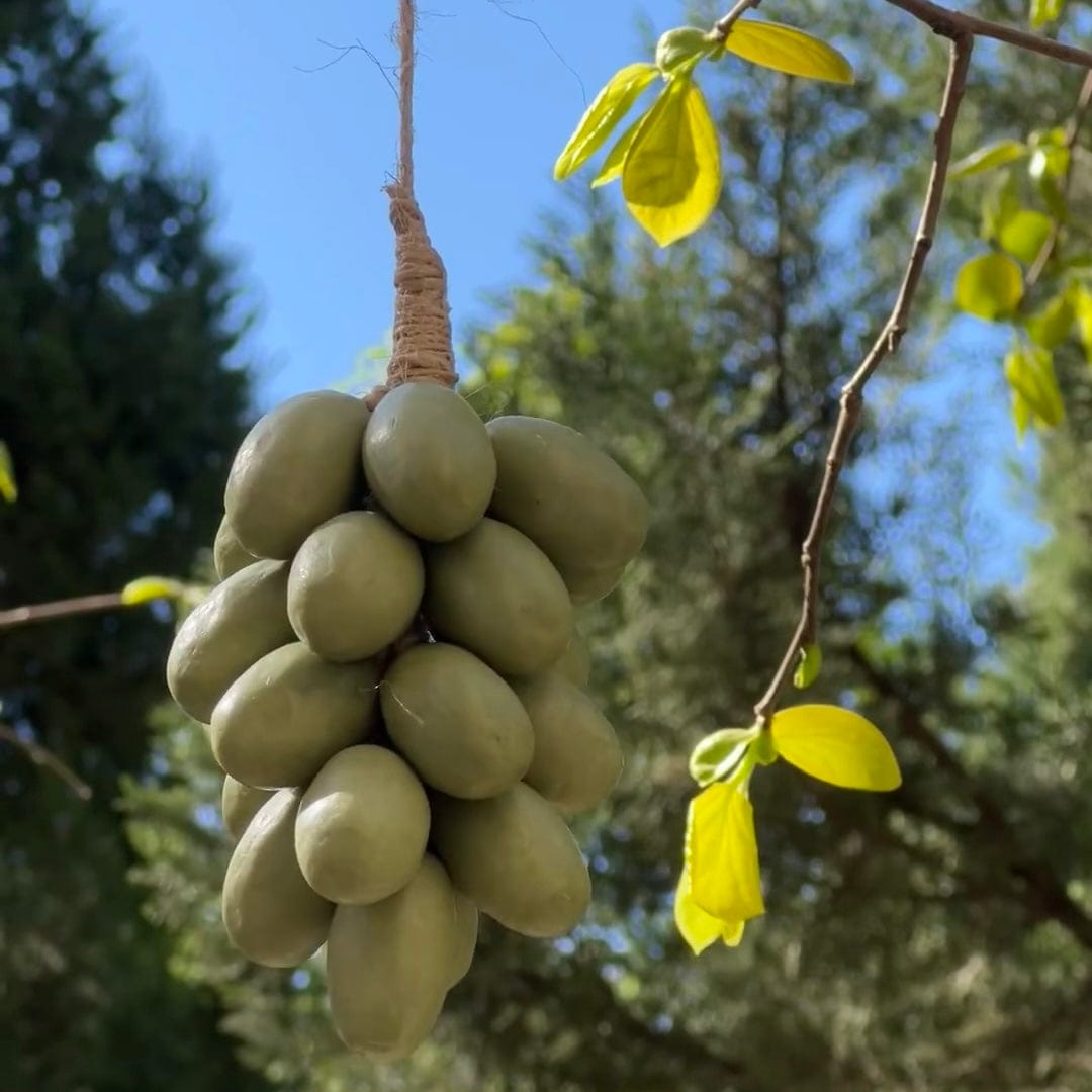 VitaGrape™ – Savon Naturel en Forme de Raisin